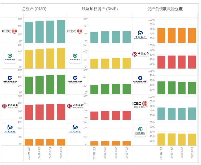 中国全球系统重要性银行资产负债表的风险强度