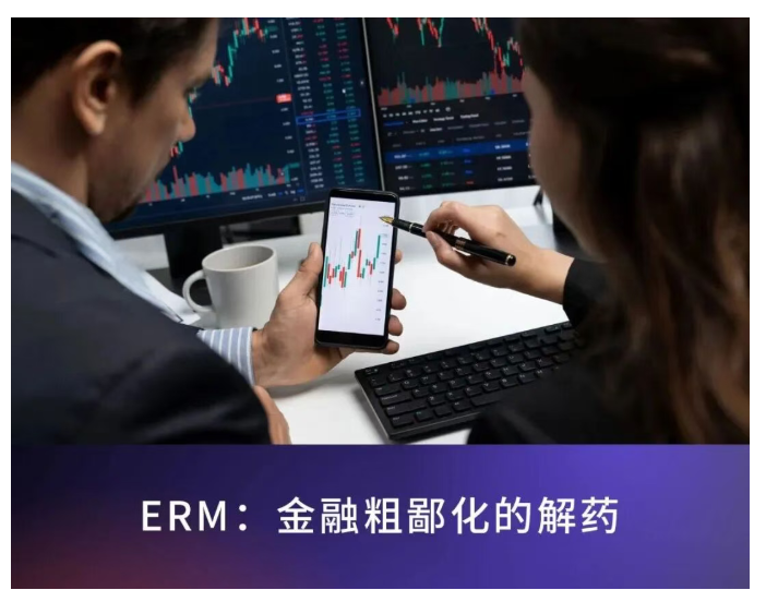 ERM：金融粗鄙化的解药